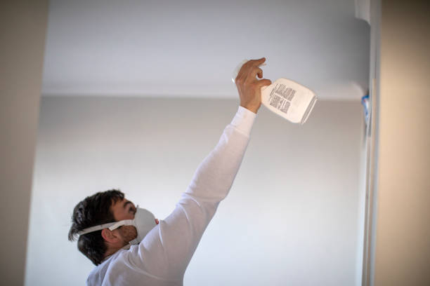 Best Preventive Mold Services in Midland Park, NJ